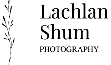 contact-form-logo