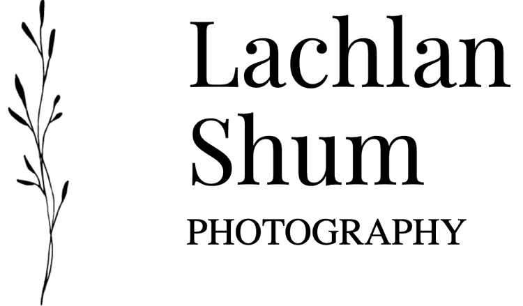 navbar-logo